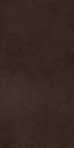 Cuir